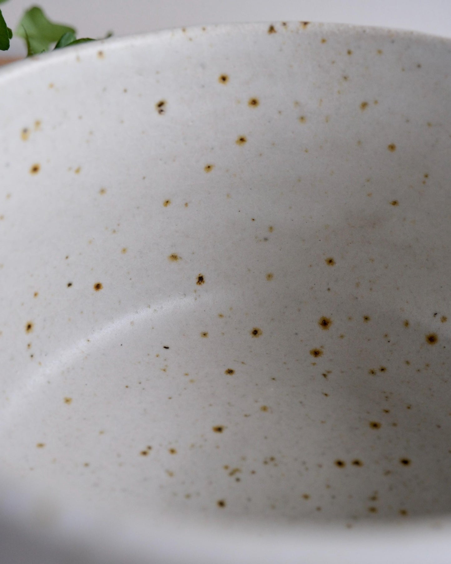 Close-up of a white ceramic bowl with brown speckles