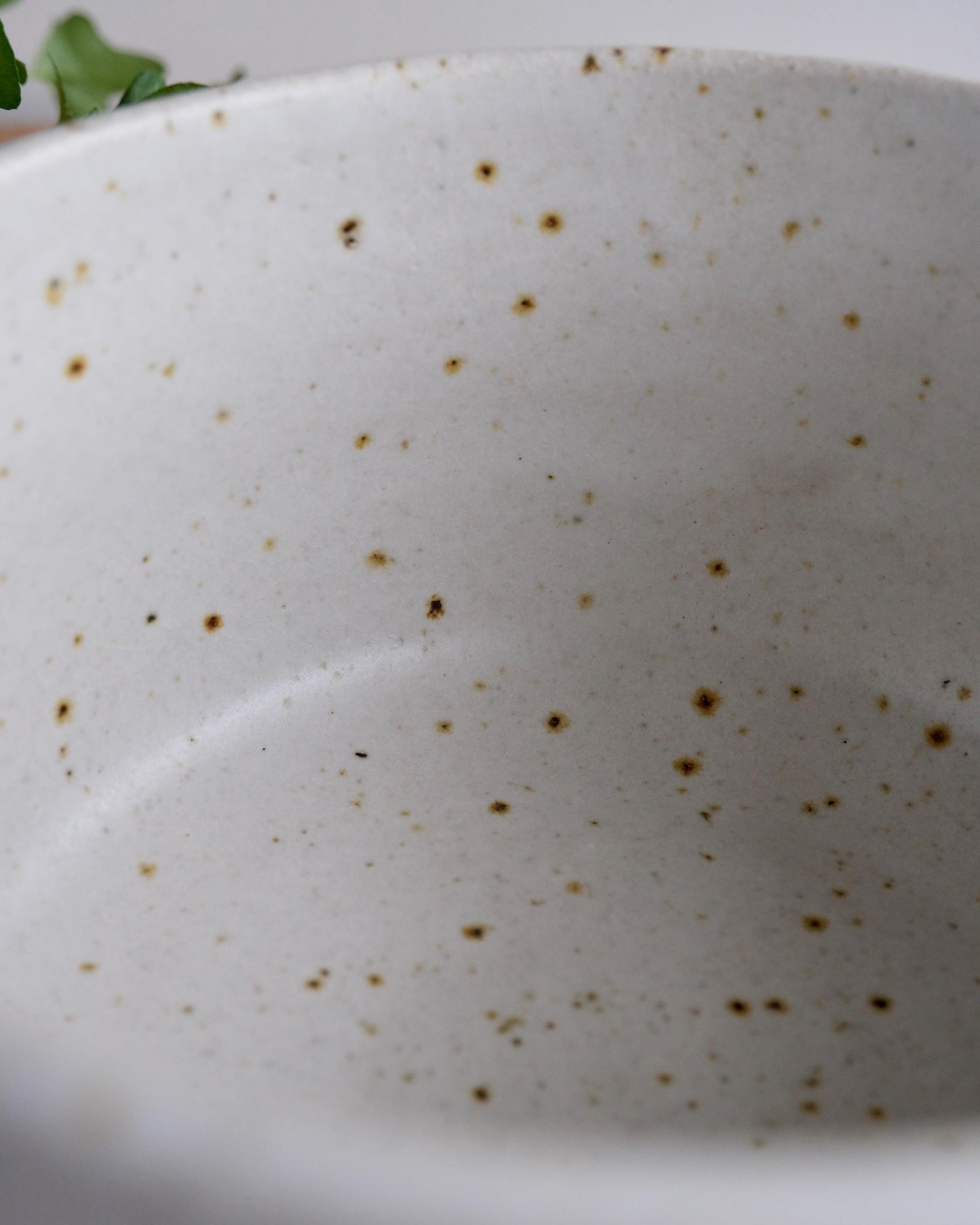 Close-up of a white ceramic bowl with brown speckles